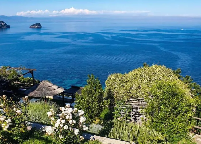 Paradiso Di Manu
