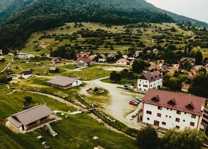 Pensiunea 3 Brazi Zarnesti