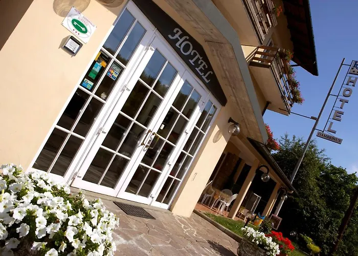Hotel Gambrinus