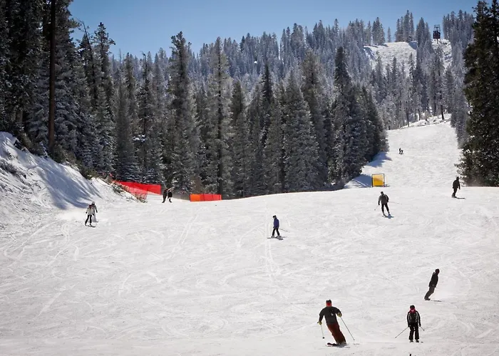 Northstar Original Village Studio One