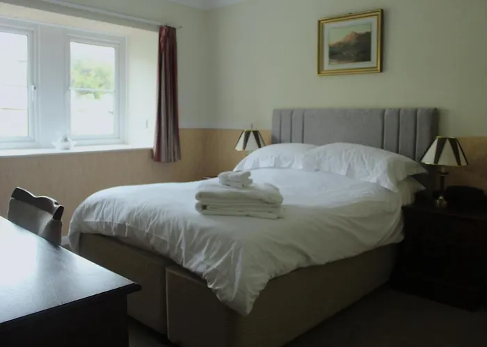 The Buck Hotel