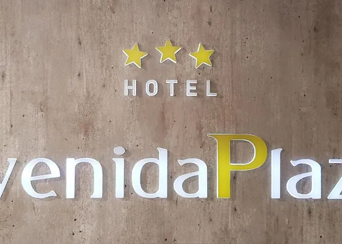 Hotel Avenida Plaza