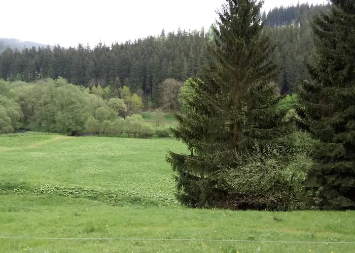 Hotel Thueringer Wald