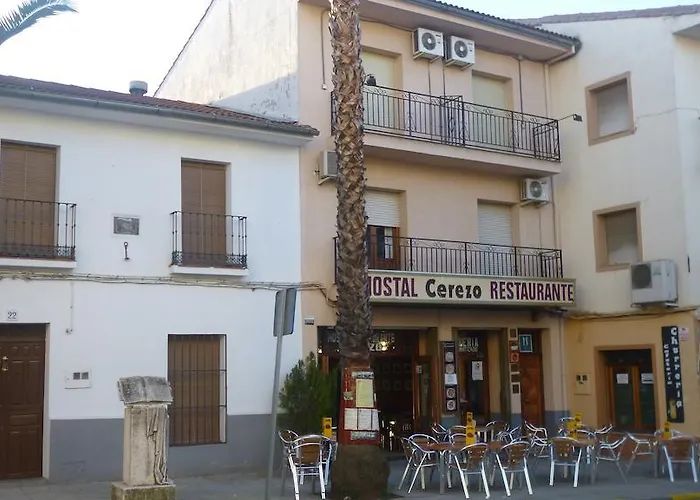 Hostal Cerezo Guadalupe 