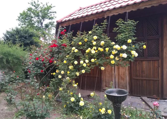Lotca Fermecata - Lotka Fermecata