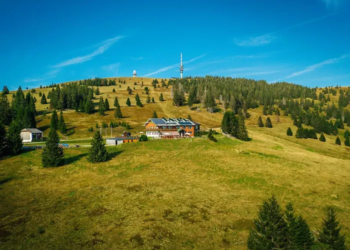 Berggasthof zur Todtnauer Hütte
