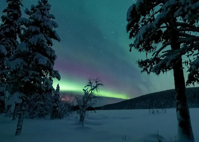 Arctic Skylight Lodge