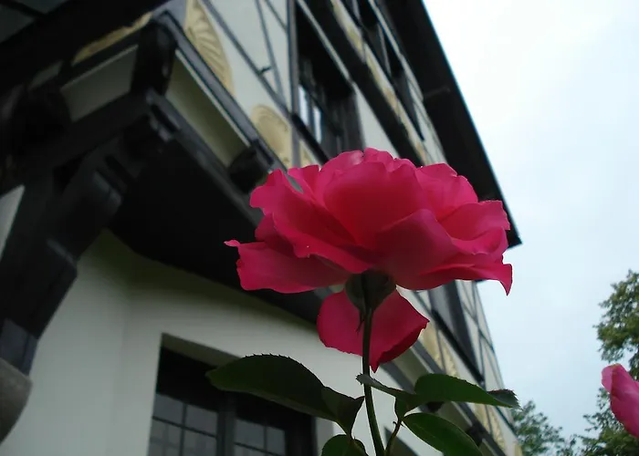 Gutshaus Kubbelkow Hotel Garni