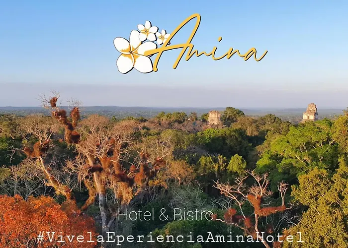 Amina Inn