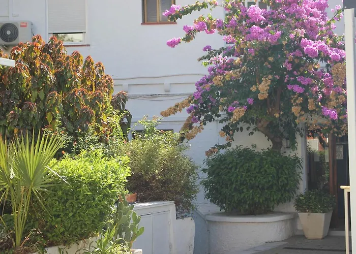Hotel Patricia