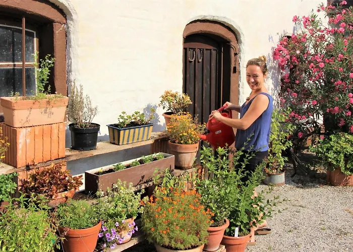 Hotel Zur Mühle Bad Birnbach