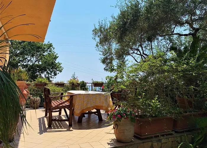 B&B dei Fiori Praia a Mare