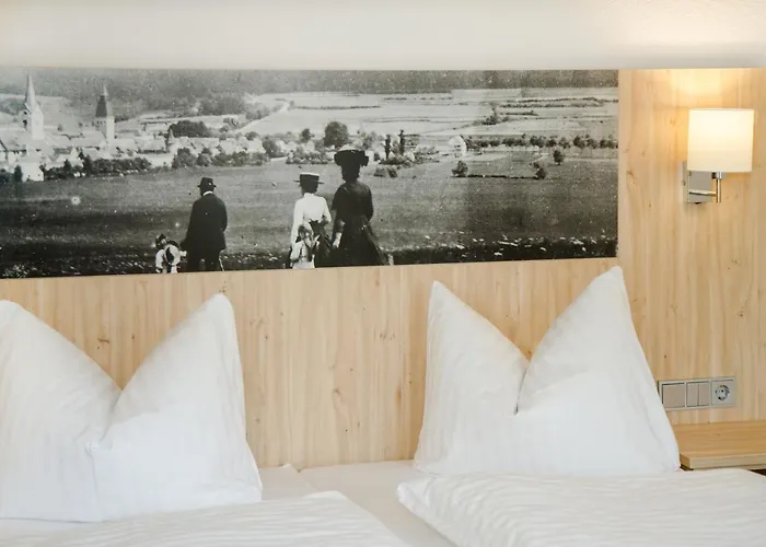 Hotel-Gasthof Blaue Traube e.K.