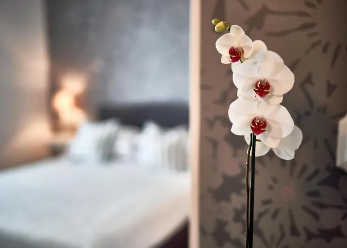 Hotel Clodia - Adults Only