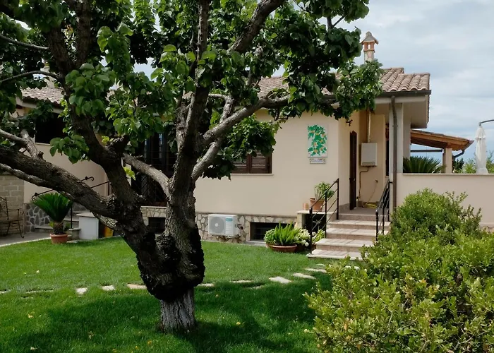 Bed and Breakfast L'Albicocco Ladispoli