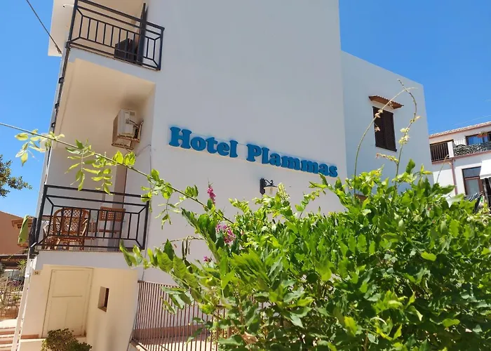 Hotel Plammas
