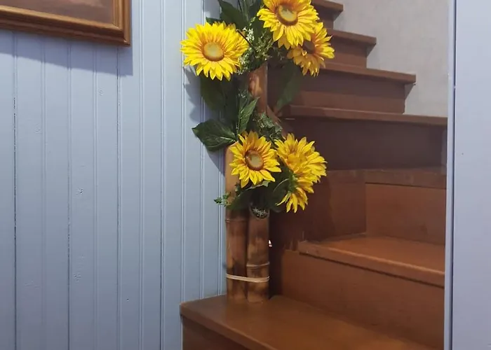 Pousada Vo Aia