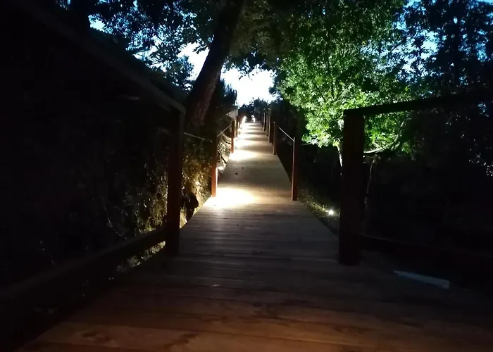 Quinta Mata Da Se