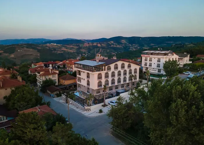 Lagun Palas