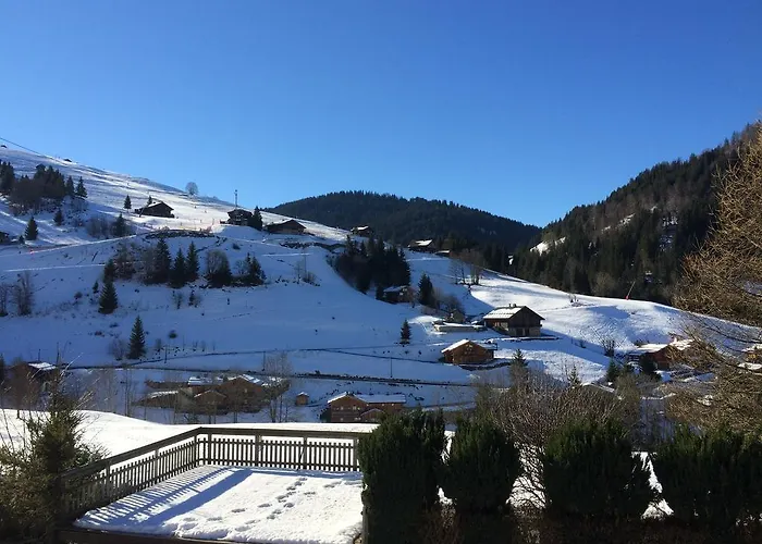 Chalet-Hôtel du Borderan