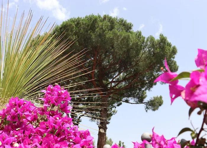 Paradiso Hotel Castellammare di Stabia