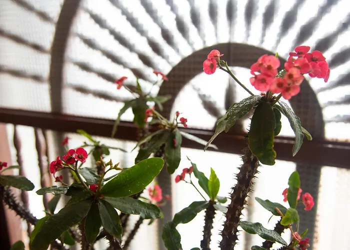 Hotel Lili - Popayan