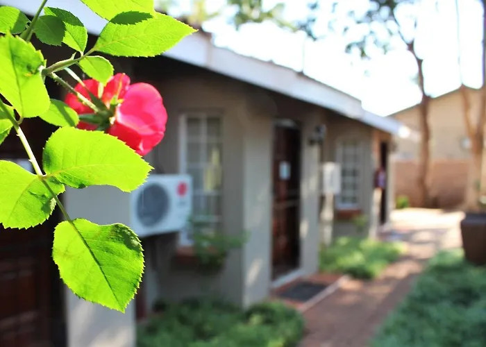 Ngwenya Boutique Hotel