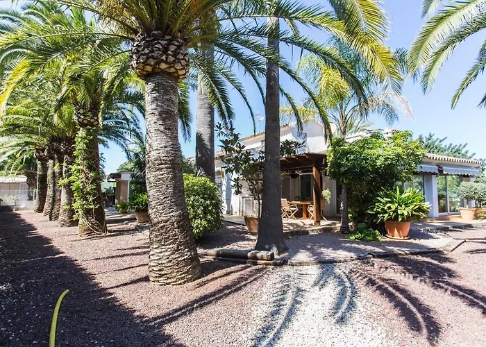 Finca Pepe 2