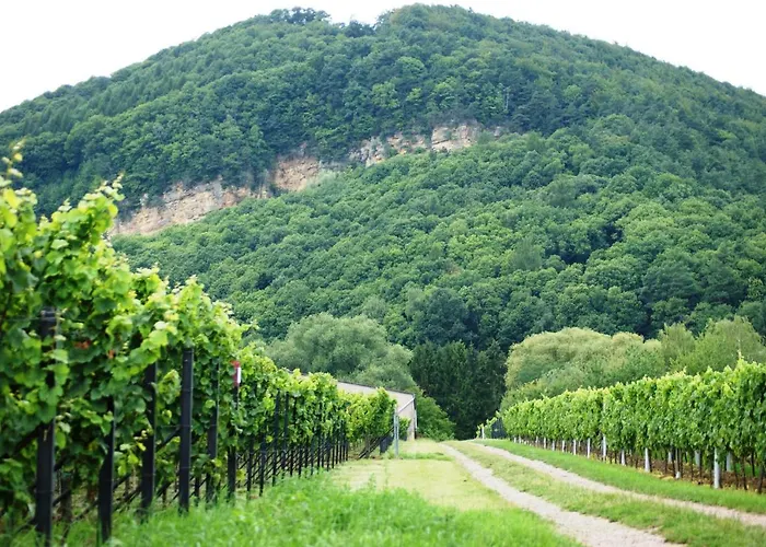 Landgasthof Zickler