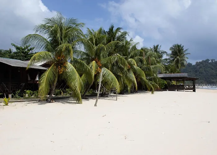 Bushman Tioman