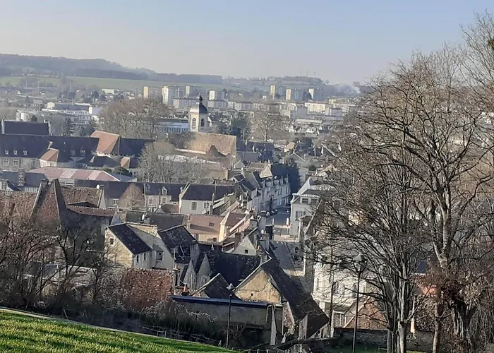 Centre Ville, Chambre Independante 20M2 Et Sa Salle De Bain Privee
