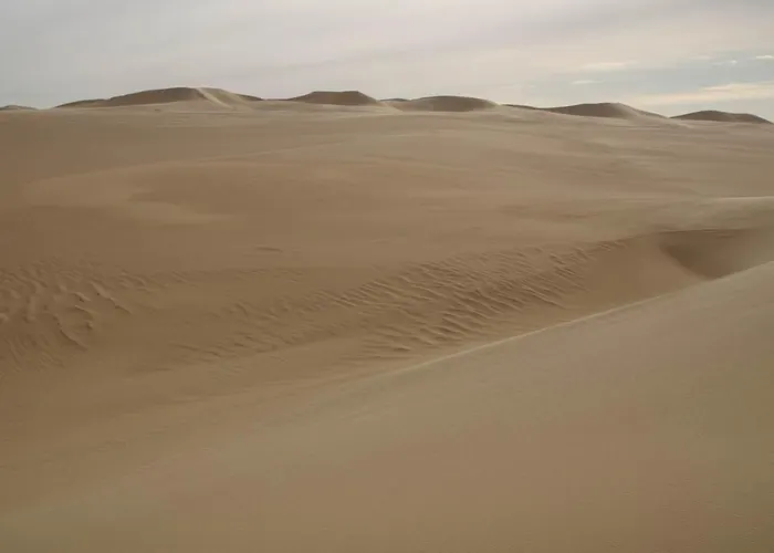 Western Desert Hotel & Safari