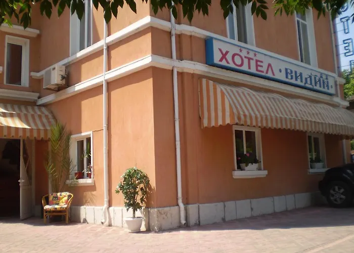 Vidin Hotel