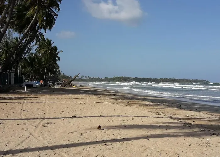 Dive Beach Palace