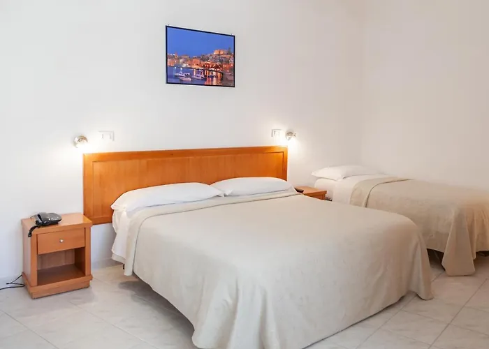 Hotel Viola