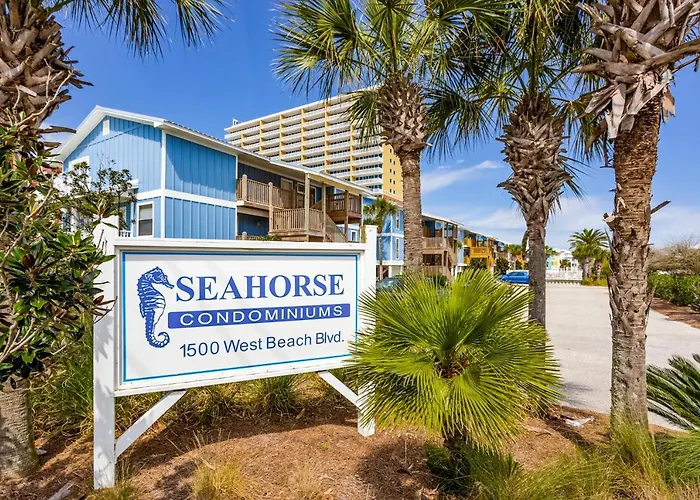 Seahorse 612