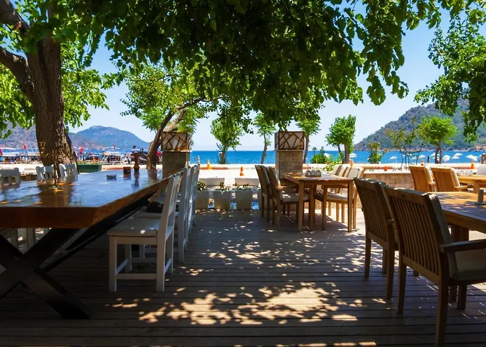 Ceneviz Hotel