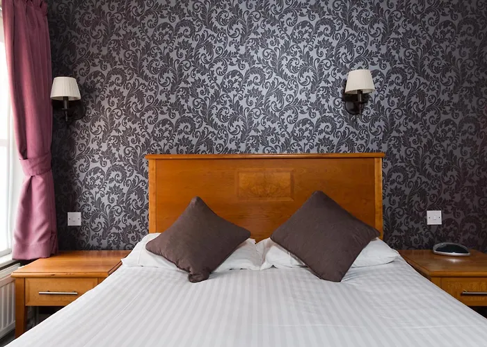 The Dog & Bear Hotel