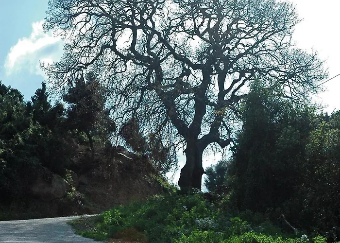 La Fattoria
