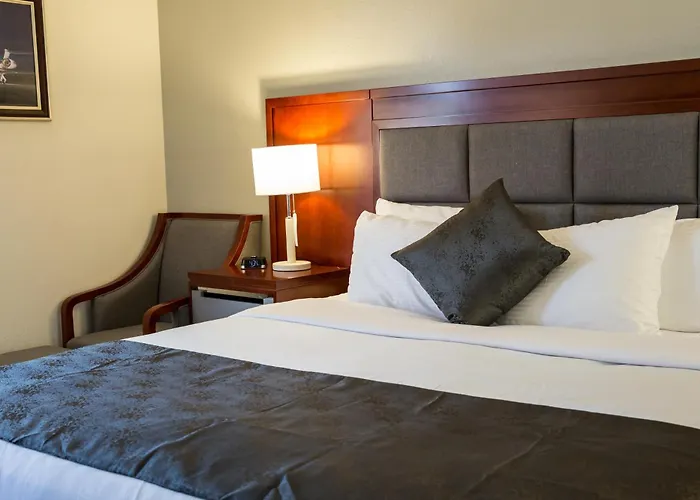 Ramada Plaza By Wyndham Chicago North Shore