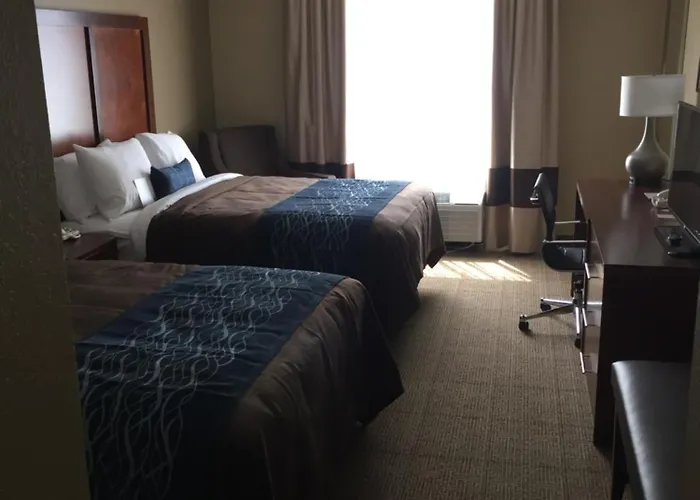 Comfort Inn & Suites Lynchburg Airport - University Area