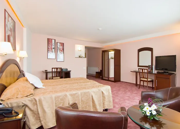 Hotel Ambient