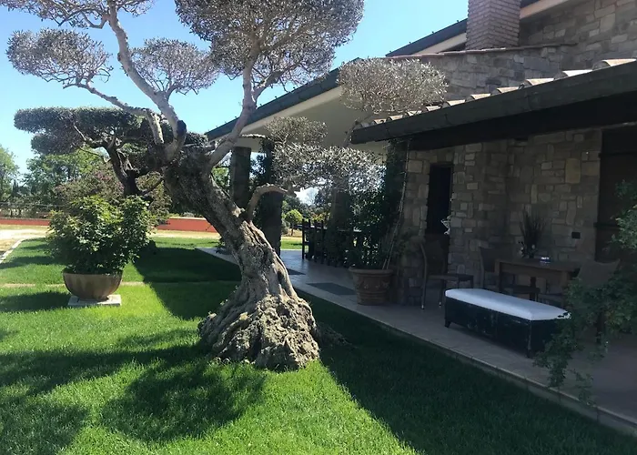 Bed and Breakfast Le Rose Nettuno