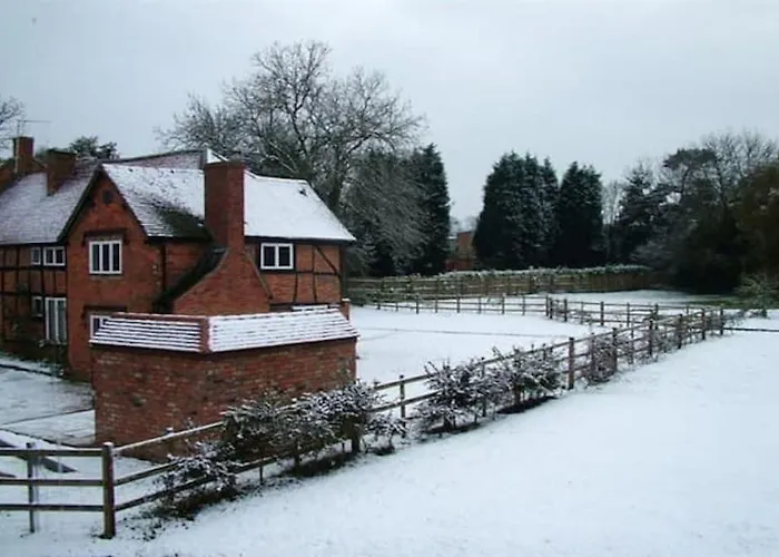 Oyo Beechwood Hotel