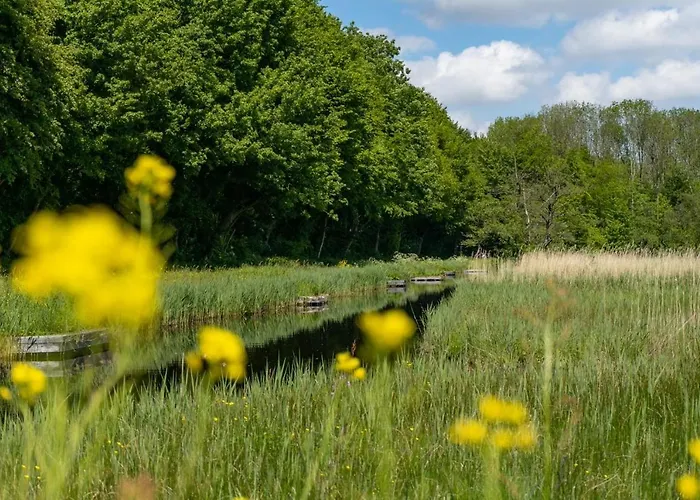 Europarcs Het Amsterdamse Bos