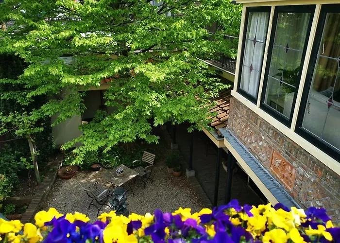 Unique Courtyard House With Sauna In Alkmaar City Center