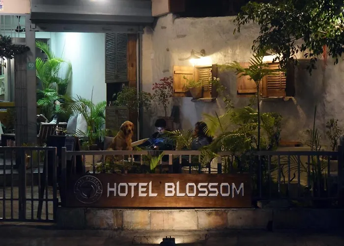 Hotel Blossom