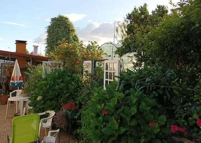 Casita Da Floresta