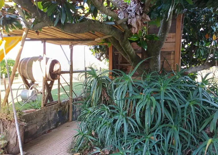 Casita Da Floresta