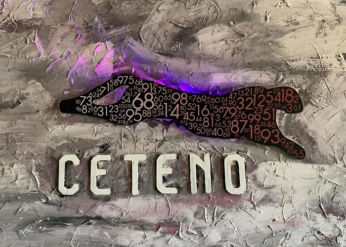 Hotel Ceteno Wunstorf